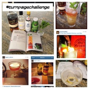 The Turn Page Challenge (#turnpagechallenge) – A social media cocktail experiment